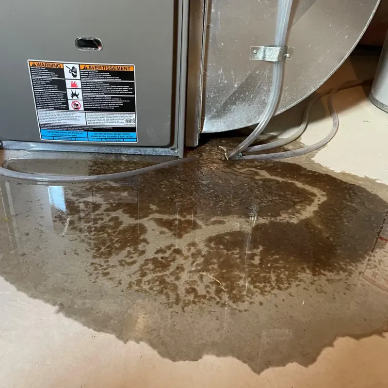 Appliance Leak Cleanup in Creola, AL